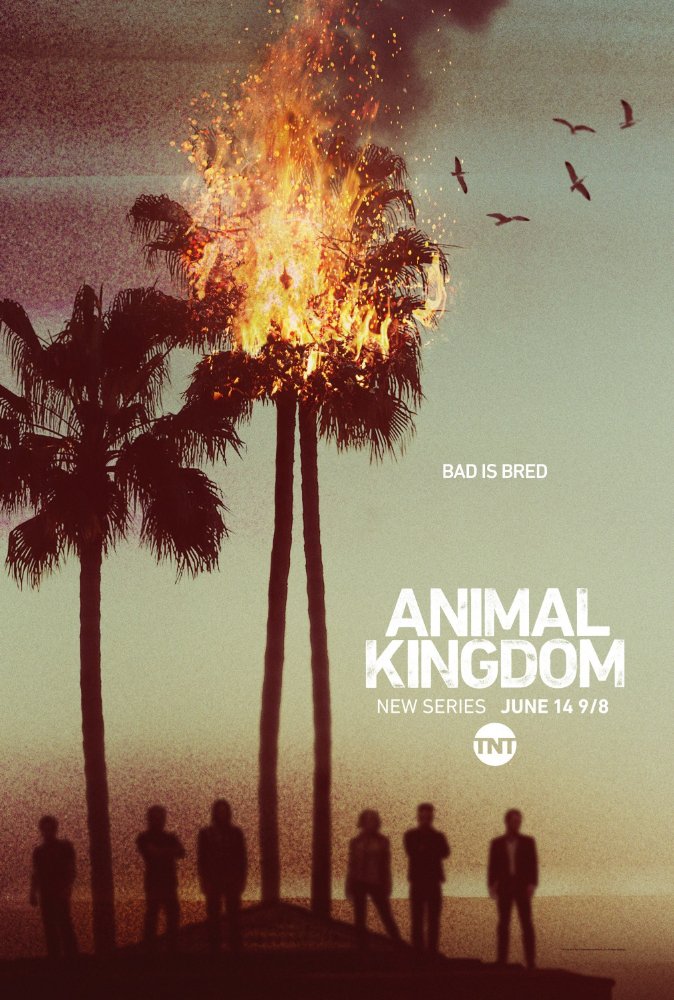 Animal Kingdom Season 1 / Животинско царство Сезон 1 (2016) Animal Kingdom Season 1 / Животинско царство Сезон 1 (2016)