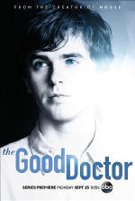 Good doctor Season 1 / Добрият доктор Сезон 1 (2017)