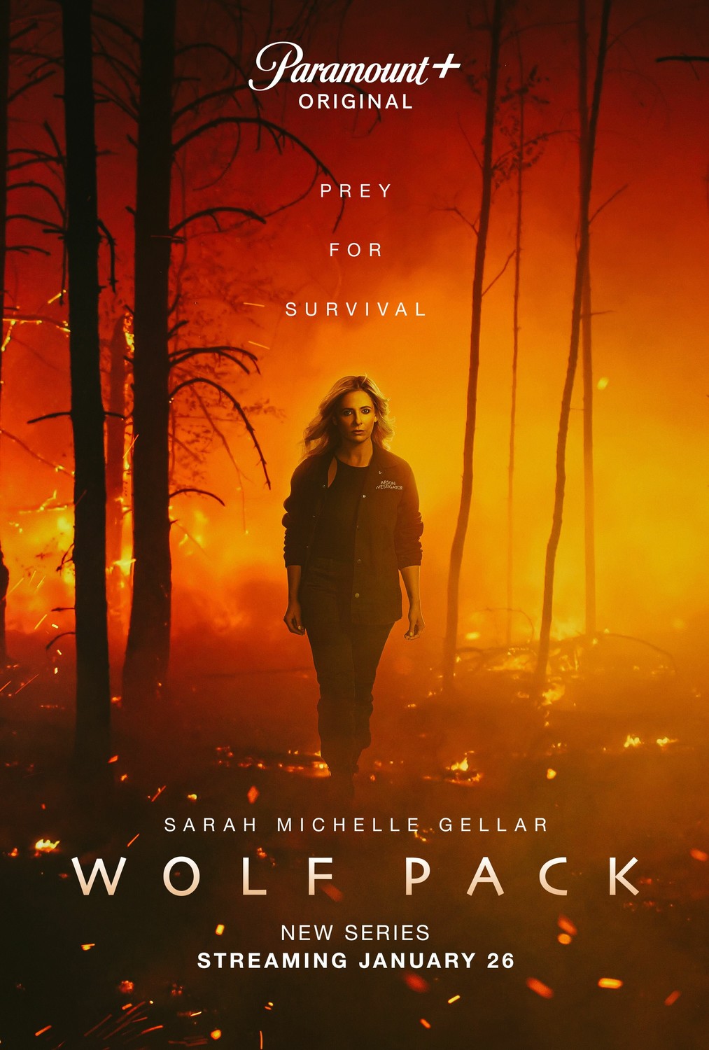 Вълча глутница Сезон 1 / Wolf Pack Season 1 (2023) Вълча глутница Сезон 1 / Wolf Pack Season 1 (2023)