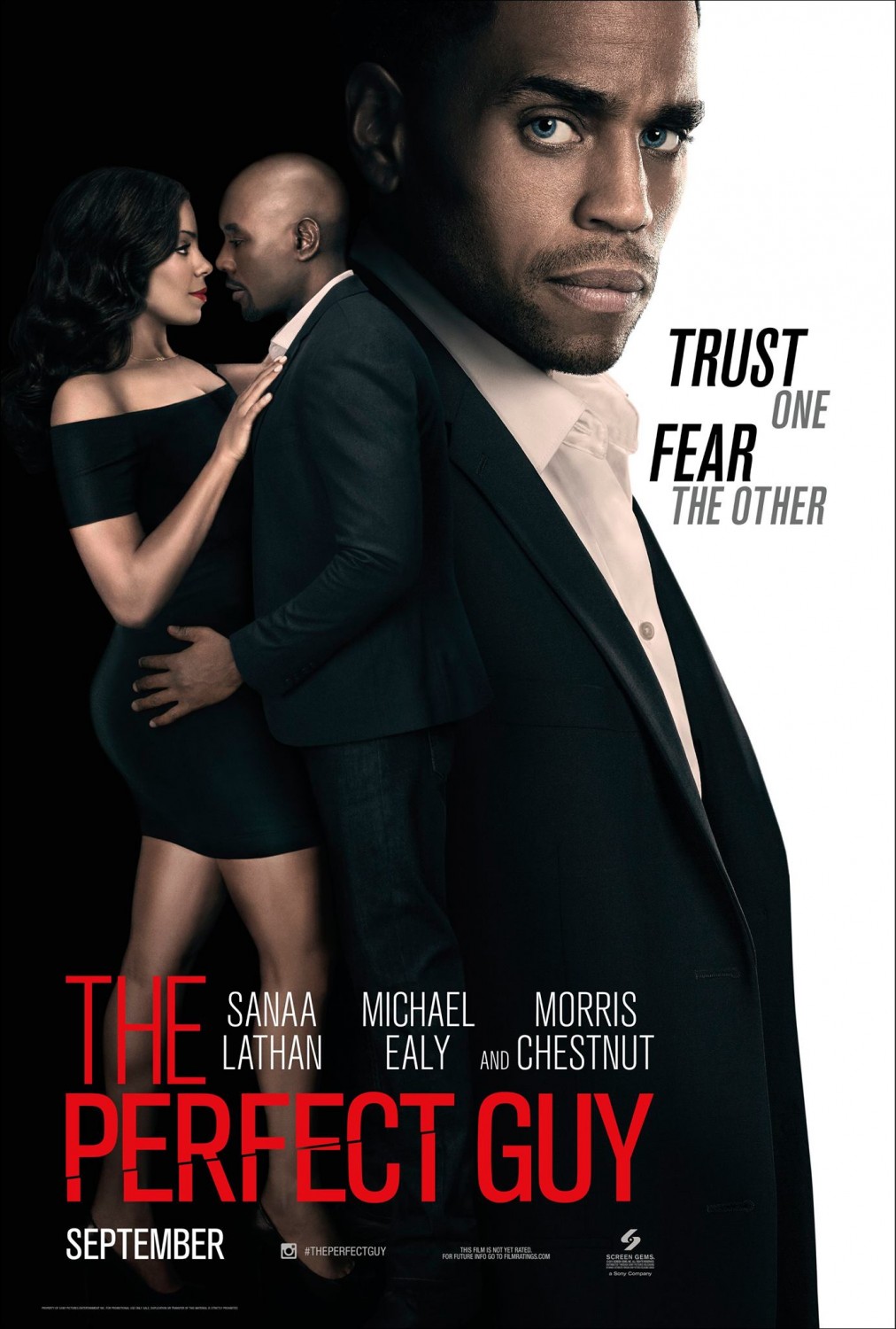 The Perfect Guy / Перфектния човек (2015)