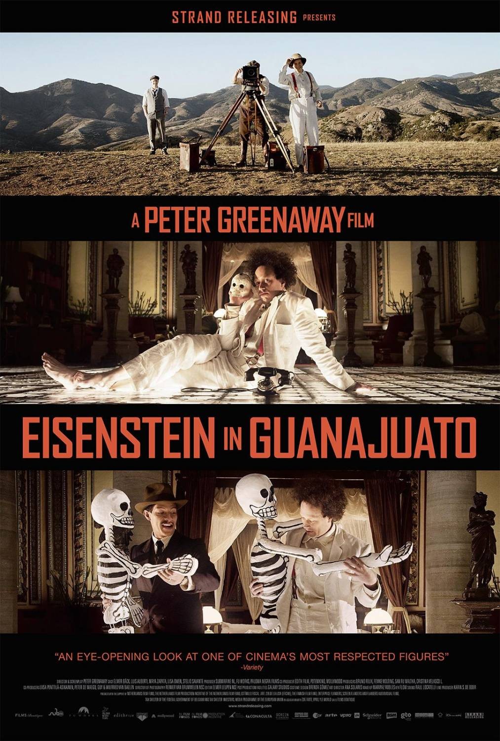 Eisenstein in Guanajuato / Айзенщайн в Мексико (2015) Eisenstein in Guanajuato / Айзенщайн в Мексико (2015)