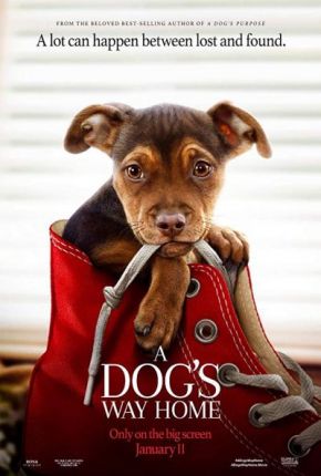 A Dog's Way Home / Пътят към дома (2019)