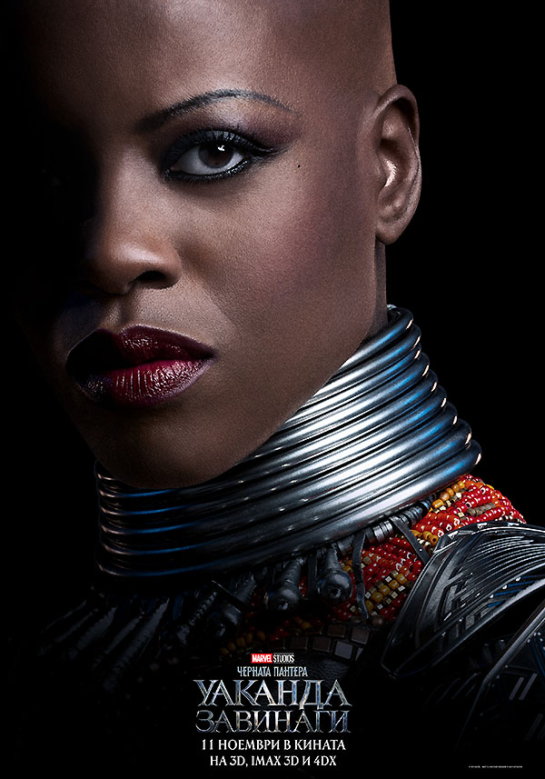 Black Panther: Wakanda Forever / Черната пантера: Уаканда завинаги (2022)
